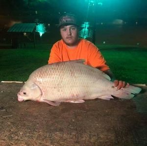 Meet your Posher, Deanie